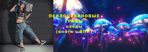 прущий лед Аркадак