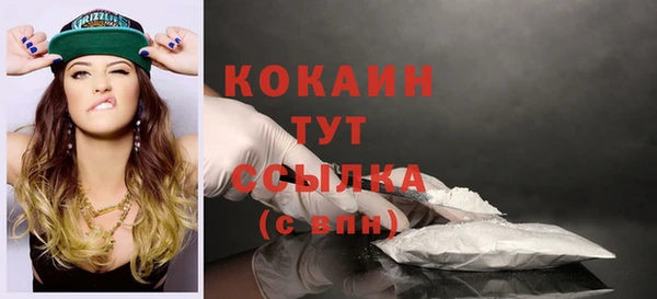 кокс Арсеньев