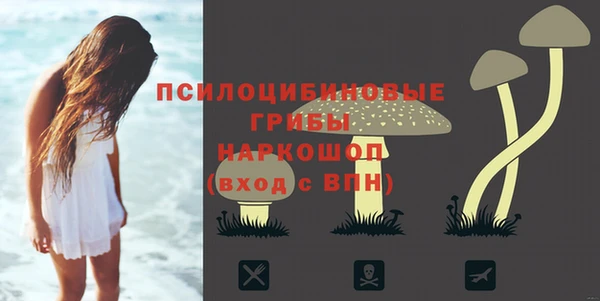прущий лед Аркадак