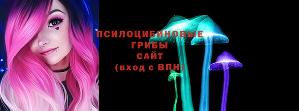 кокс Арсеньев