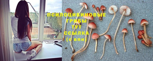 кокс Арсеньев