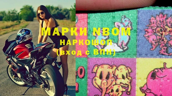 кокс Арсеньев