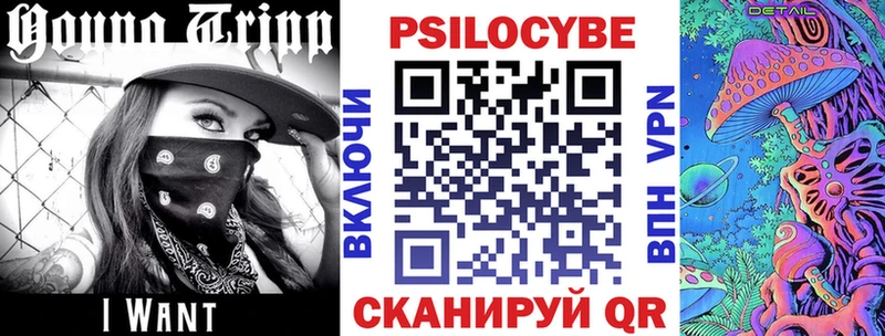гидра маркетплейс  что такое наркотик  Талдом  Псилоцибиновые грибы мухоморы 